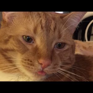 Meet your Posher, Juli